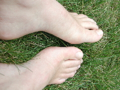 Bear feet in the grass